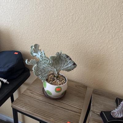 Sale Photo Thumbnail #160