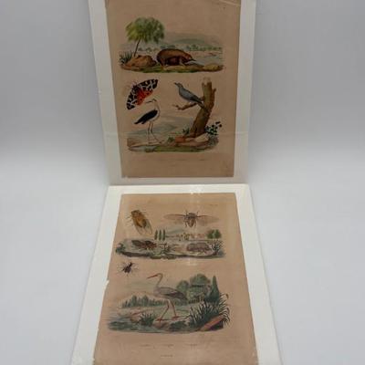 Antique French Colorwash Book Plates