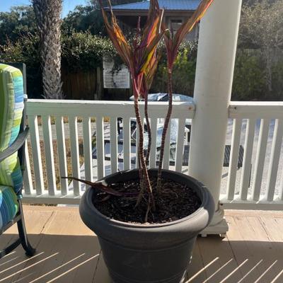 Sale Photo Thumbnail #47