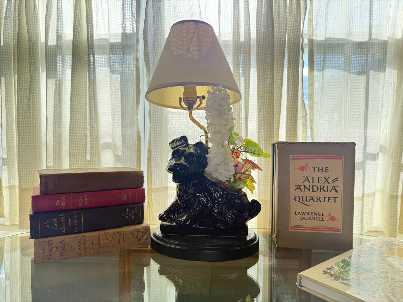 Sale Photo Thumbnail #7