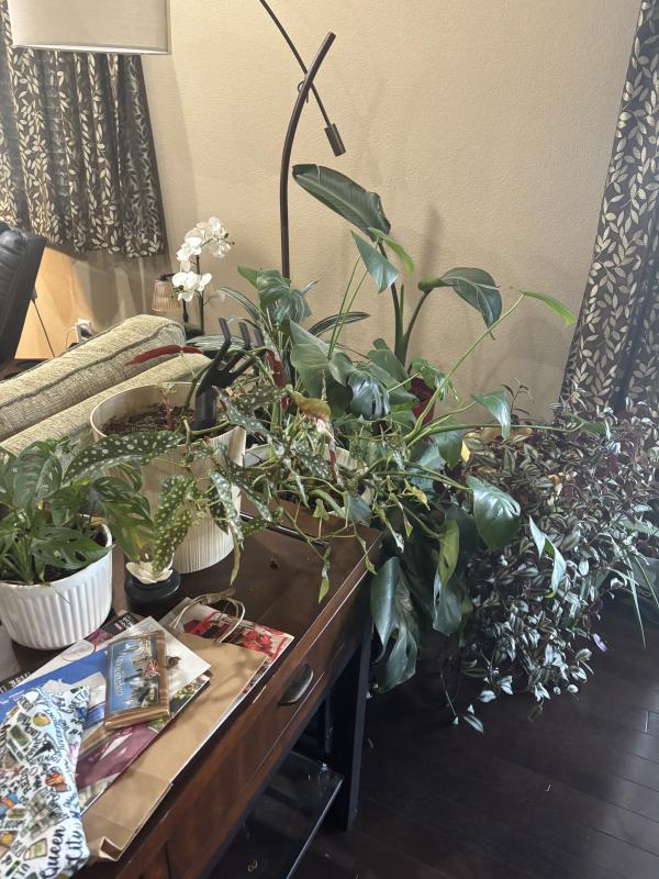 Sale Photo Thumbnail #15