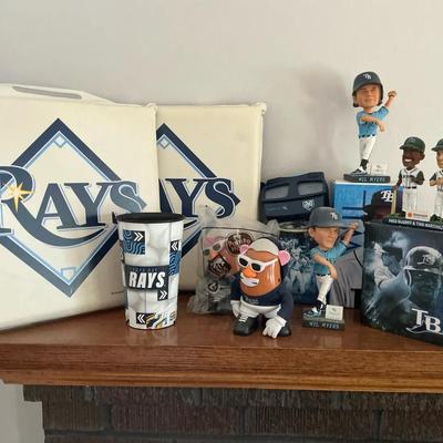 Tampa Bay Rays Collectibles