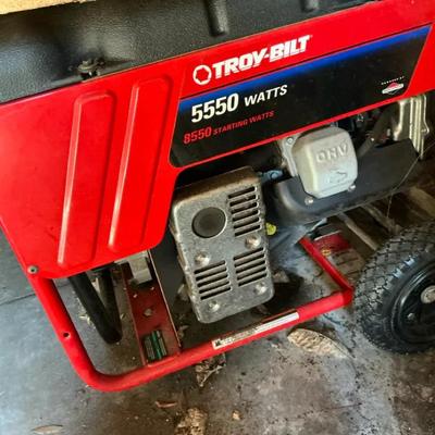 Troy-Bilt 5550 Watts Generator Model 030245