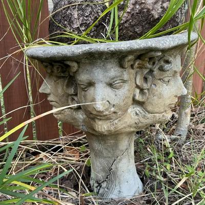 Pedestal Face Pot With Ponytail Palm