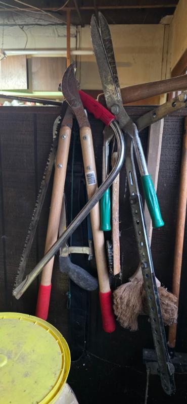 Sale Photo Thumbnail #213