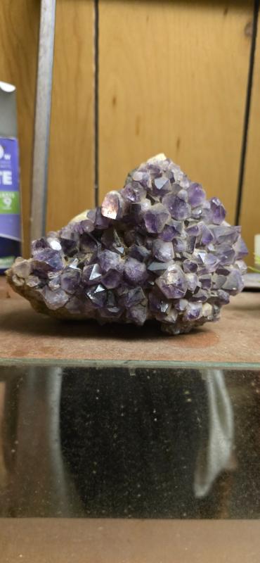 Sale Photo Thumbnail #192