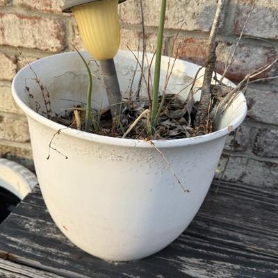 Sale Photo Thumbnail #45