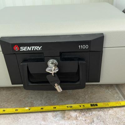 Sentry 1100 Safe 
