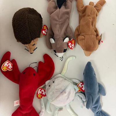 Woodland Vs Sea A “TY Beanie Baby” Collection