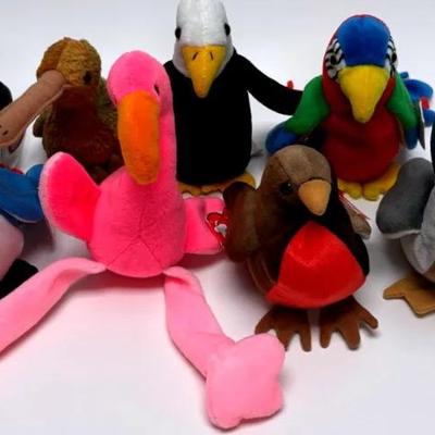 "Beanie Baby" Bird Collection - Ready for a New Nest!