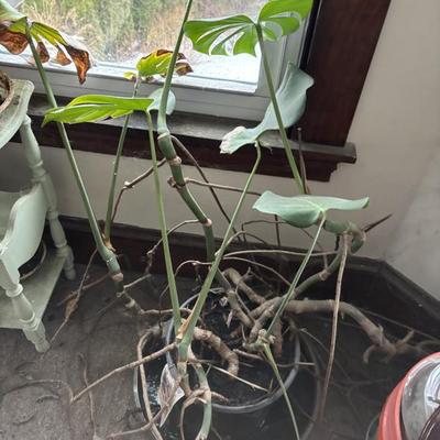 Sale Photo Thumbnail #45