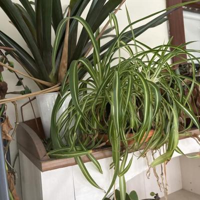 Sale Photo Thumbnail #36