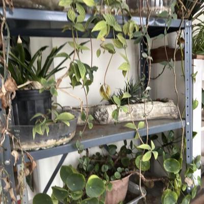 Sale Photo Thumbnail #37