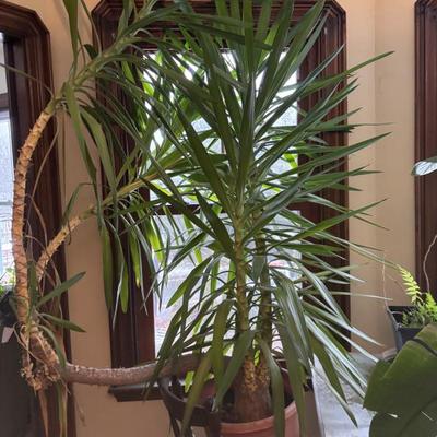 Sale Photo Thumbnail #24