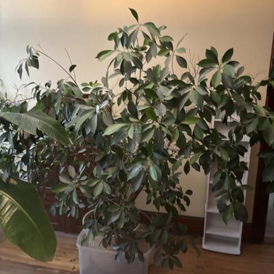 Sale Photo Thumbnail #27