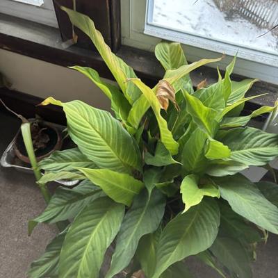 Sale Photo Thumbnail #35