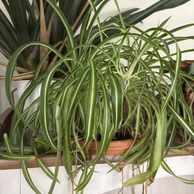 Sale Photo Thumbnail #32