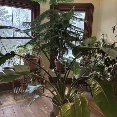 Sale Photo Thumbnail #26