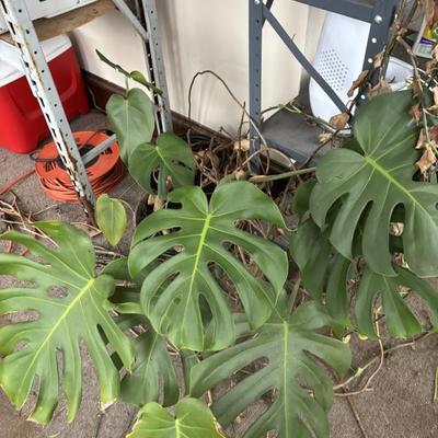 Sale Photo Thumbnail #31