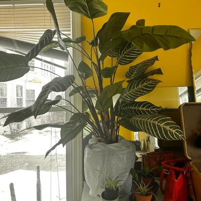 Sale Photo Thumbnail #180