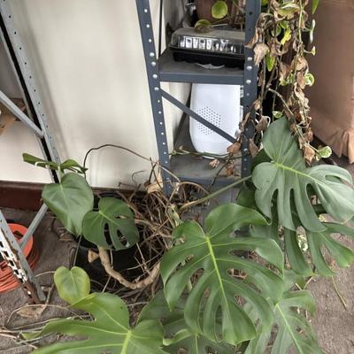 Sale Photo Thumbnail #42