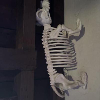 Sale Photo Thumbnail #247