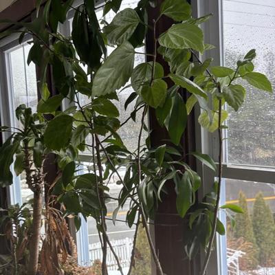 Sale Photo Thumbnail #44