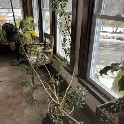 Sale Photo Thumbnail #43