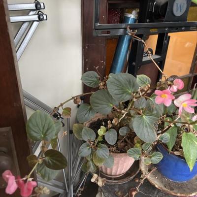 Sale Photo Thumbnail #50