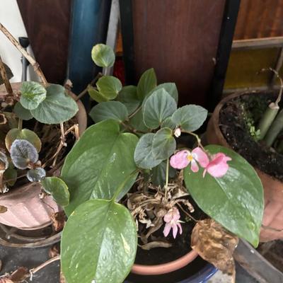 Sale Photo Thumbnail #49