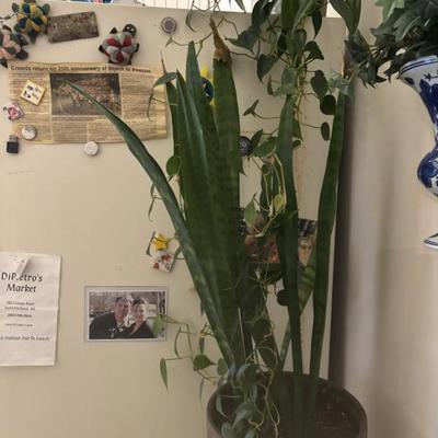 Sale Photo Thumbnail #30