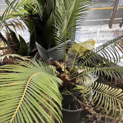 Sale Photo Thumbnail #40