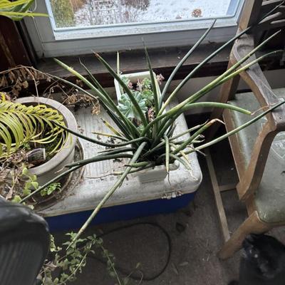 Sale Photo Thumbnail #41