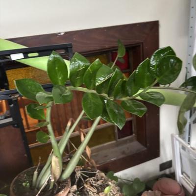 Sale Photo Thumbnail #48