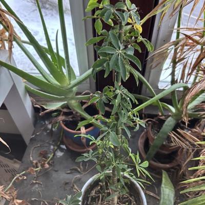 Sale Photo Thumbnail #38