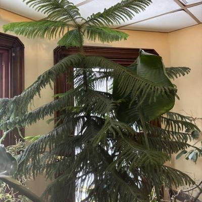 Sale Photo Thumbnail #25