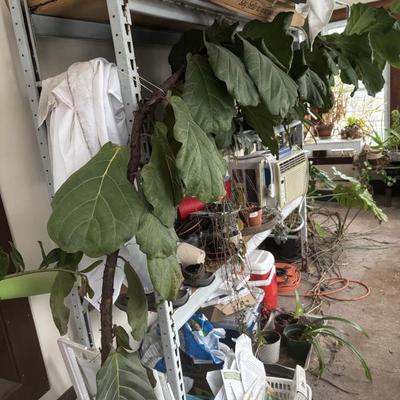 Sale Photo Thumbnail #47