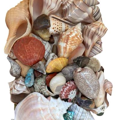 Coastal Decorative Collection with Swan Shell Bowl, Assorted Seashells & Stone Lidded Box