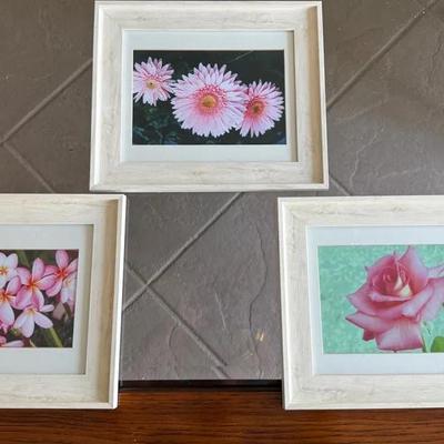 Whitewashed Wood Framed Floral Wall Art Prints Set of 3