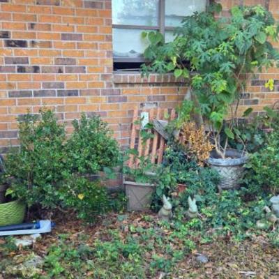 Sale Photo Thumbnail #42