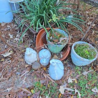 Sale Photo Thumbnail #75