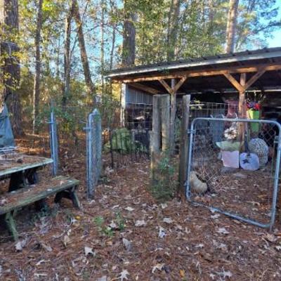 Sale Photo Thumbnail #61