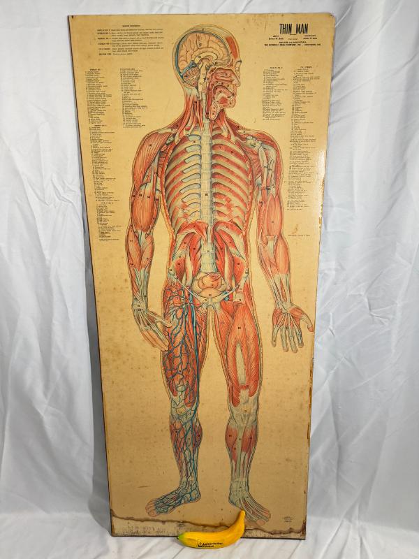 Sale Photo Thumbnail #18