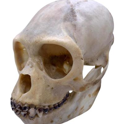 Sale Photo Thumbnail #26