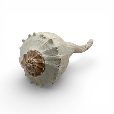 Sale Photo Thumbnail #75