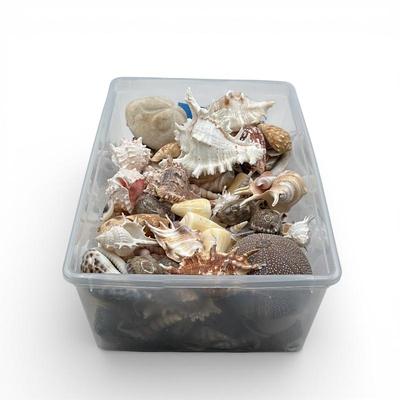 Sale Photo Thumbnail #52