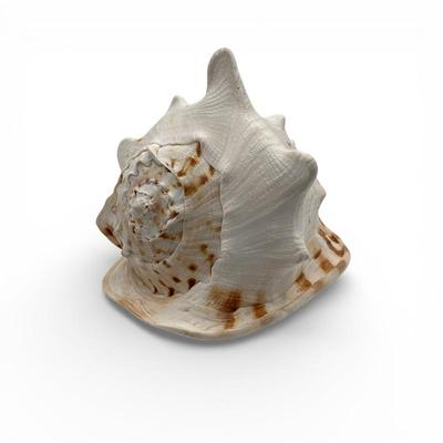 Sale Photo Thumbnail #77