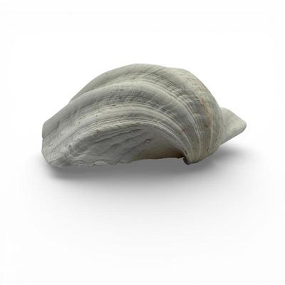 Sale Photo Thumbnail #84