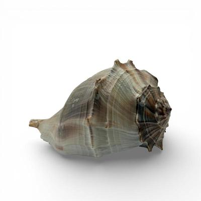 Sale Photo Thumbnail #76