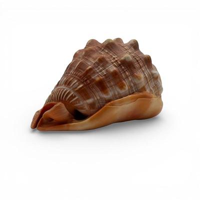 Sale Photo Thumbnail #74